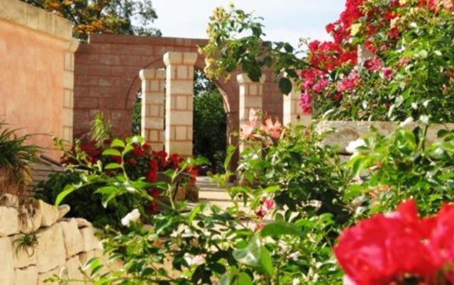 Masseria Asciano Ostuni Zewnętrze zdjęcie
