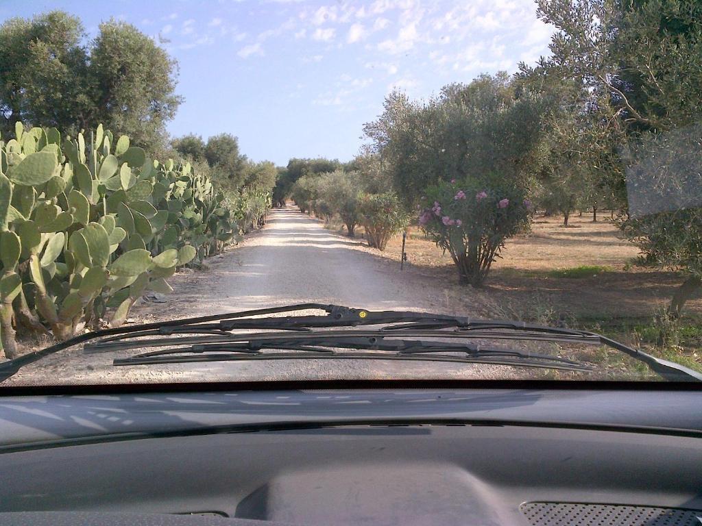 Masseria Asciano Ostuni Pokój zdjęcie